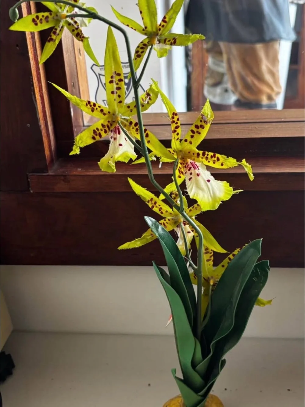 Exo Terra Spider Orchid Fake Plant Reptile Tank Decor